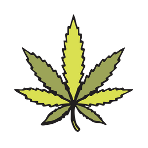 THC & CBD