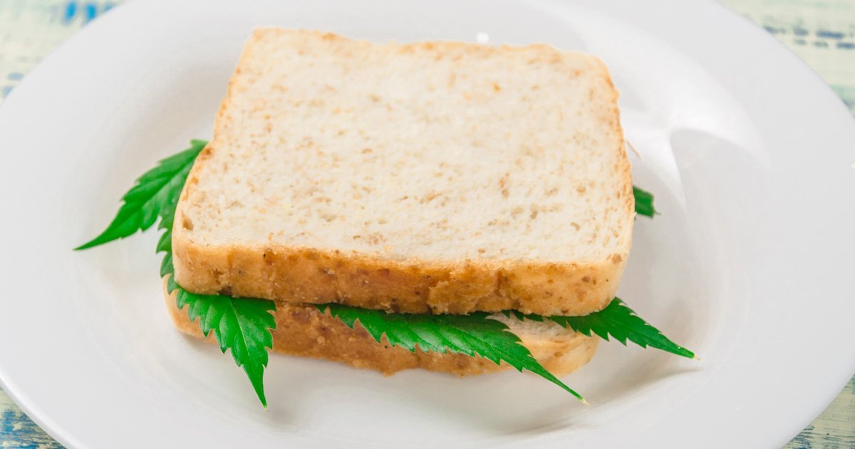 Eat Your Weed! Our Favorite Edibles Recipes. - 420 Science