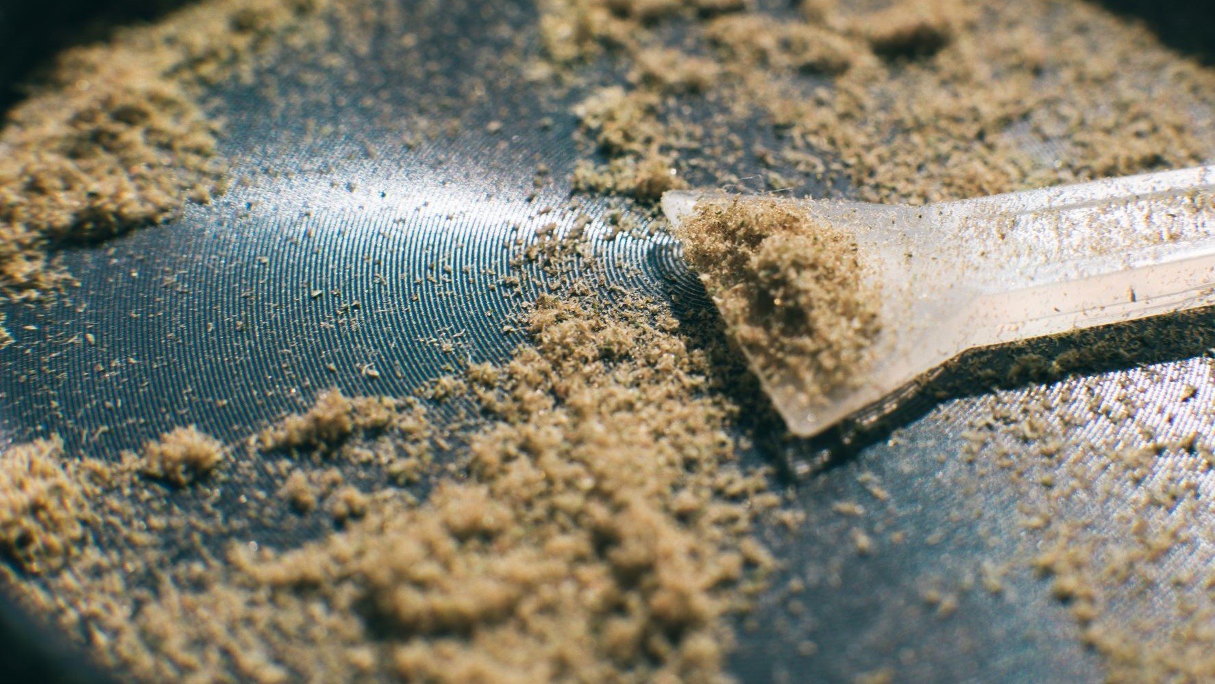 What is Kief? And How Do You Use It? - 420 Science