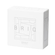 BRNT Designs Briq Concrete Ash Tray | Ashtrays | 420 Science