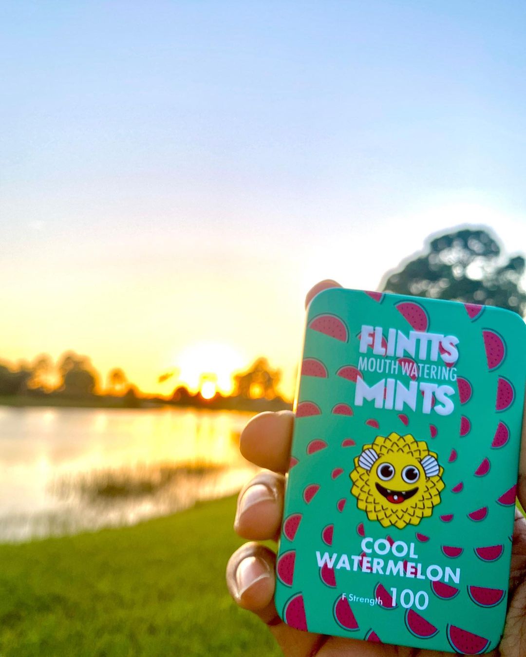 Flintts Mouthwatering Mints Cool Watermelon 3-Pack | Mints | 420 Science